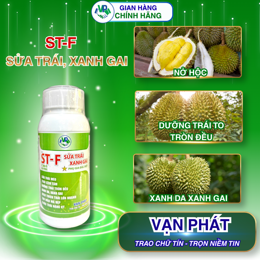 ST-F sửa trái xanh gai