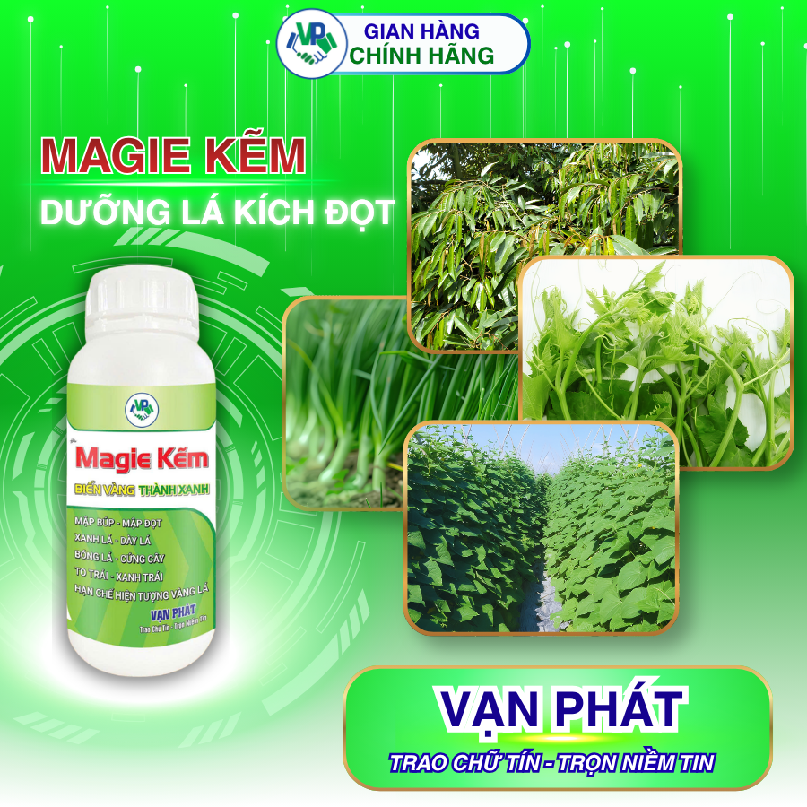 Magie Kẽm