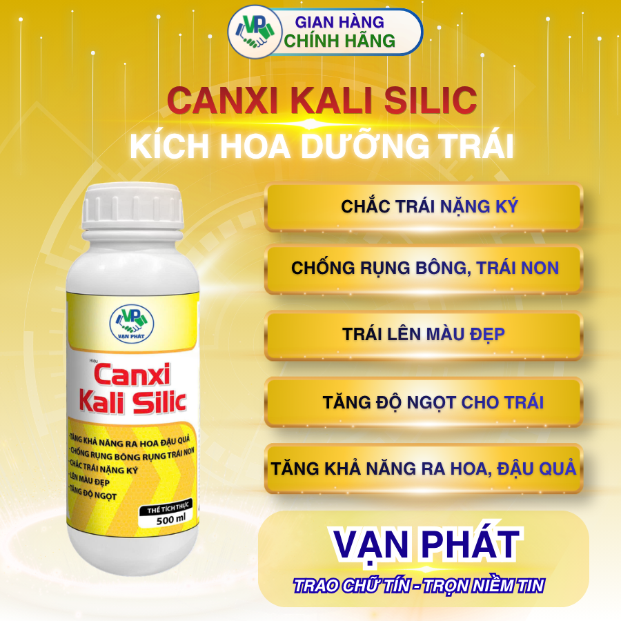Canxi kali silic