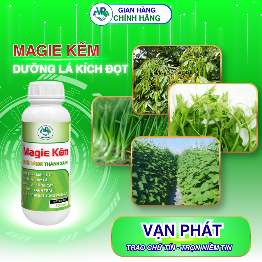 Dưỡng lá kích đọt