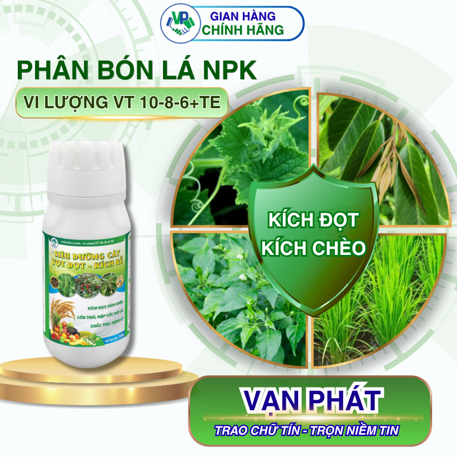 Siêu dưỡng cây