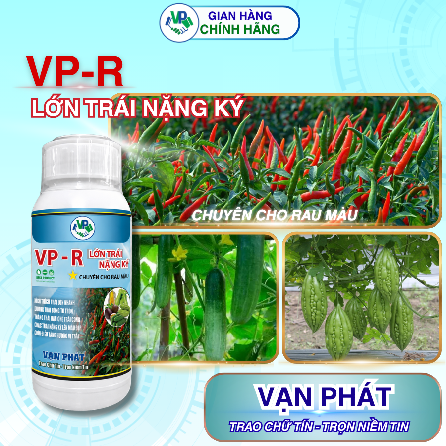 VP-Lớn trái nặng ký